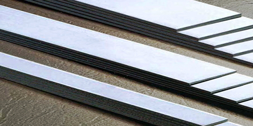 ASTM A240 Lean Duplex Steel UNS S32202 Strips